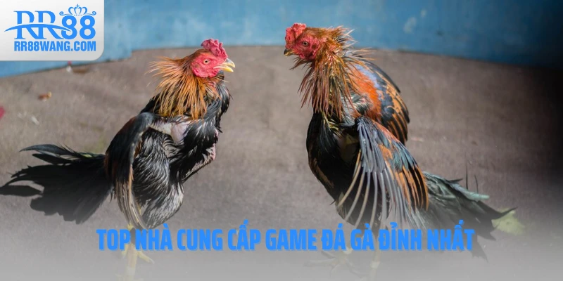 Top nhà cung cấp game đá gà đỉnh nhất Top nhà cung cấp game đá gà đỉnh nhất