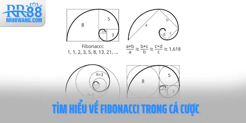 Tìm hiểu về Fibonacci trong cá cược Tìm hiểu về Fibonacci trong cá cược